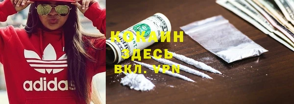 прущий лед Козловка