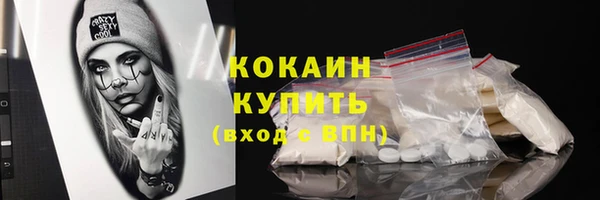 прущий лед Козловка