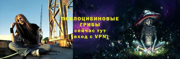 прущий лед Козловка
