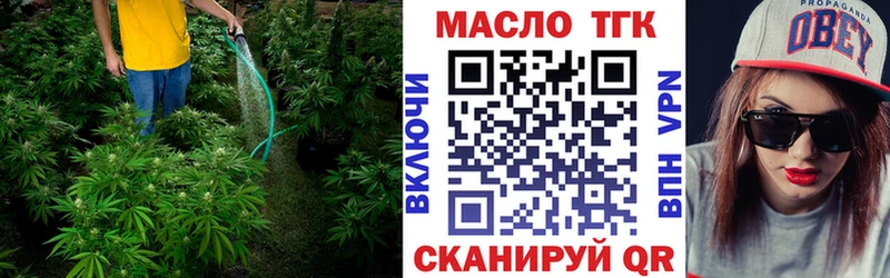 Купить  Никольск  ТГК концентрат 