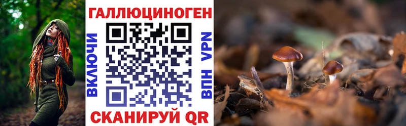 Галлюциногенные грибы мицелий Никольск